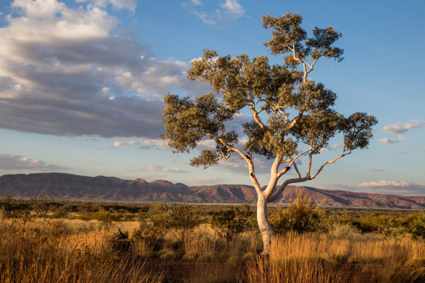 Australian outback landscape — central Australia